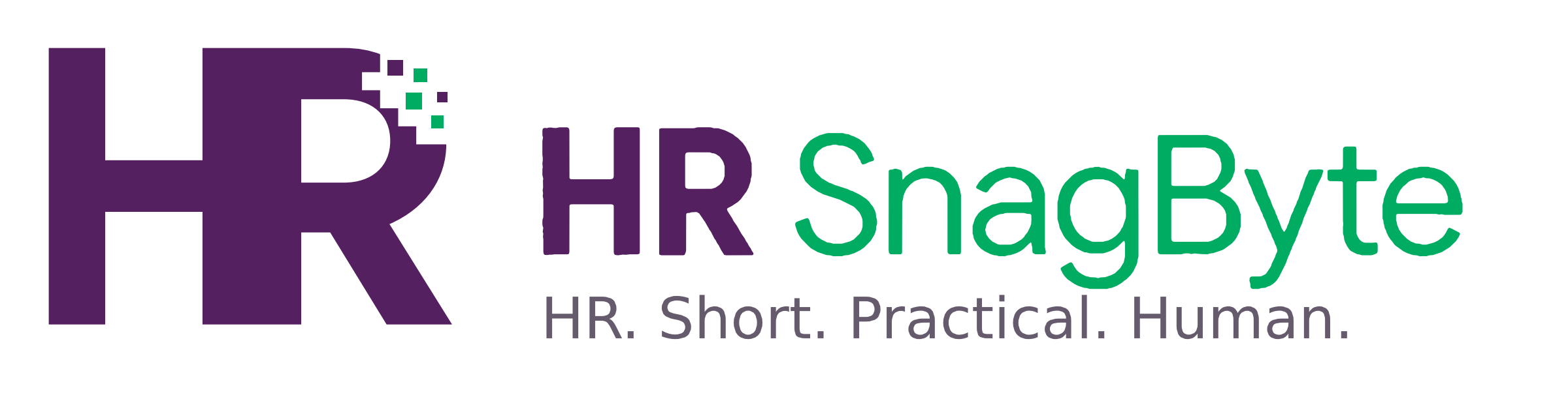 HR SnagByte — Home